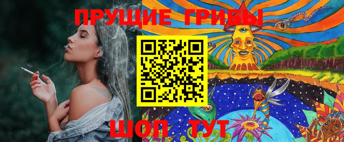 Галлюциногенные грибы Psilocybine cubensis  Вход с VPN  Нерюнгри 
