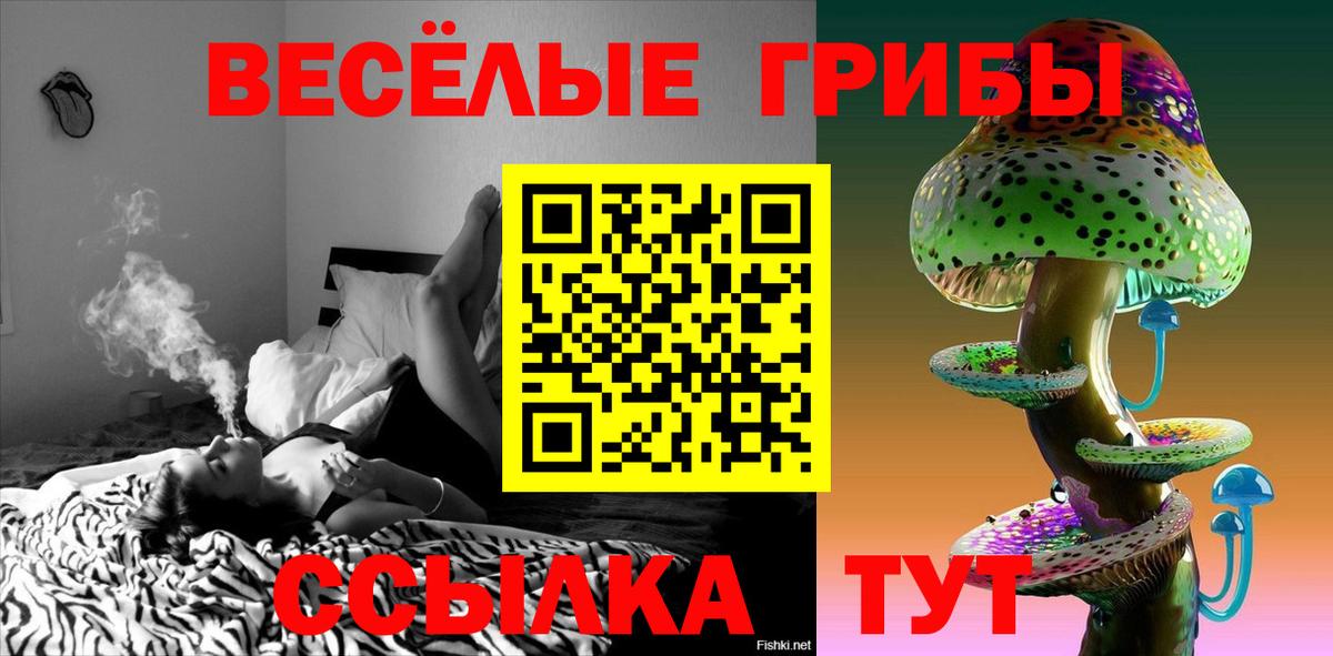 Галлюциногенные грибы Psilocybine cubensis Нерюнгри
